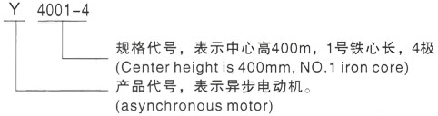 Y系列6KV高壓三相異步電機(jī)——西安泰富西瑪電機(jī)（西安西瑪電機(jī)集團(tuán)股份有限公司）官方網(wǎng)站