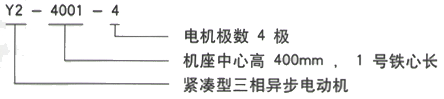 西安泰富西瑪電機(jī)Y2系列6KV高壓三相異步電動(dòng)機(jī)